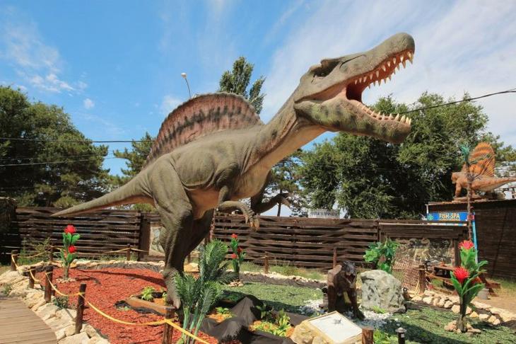 Самые интересные места для отдыха с детьми в Анапе