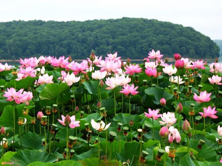 Самые интересные места для отдыха с детьми в Анапе