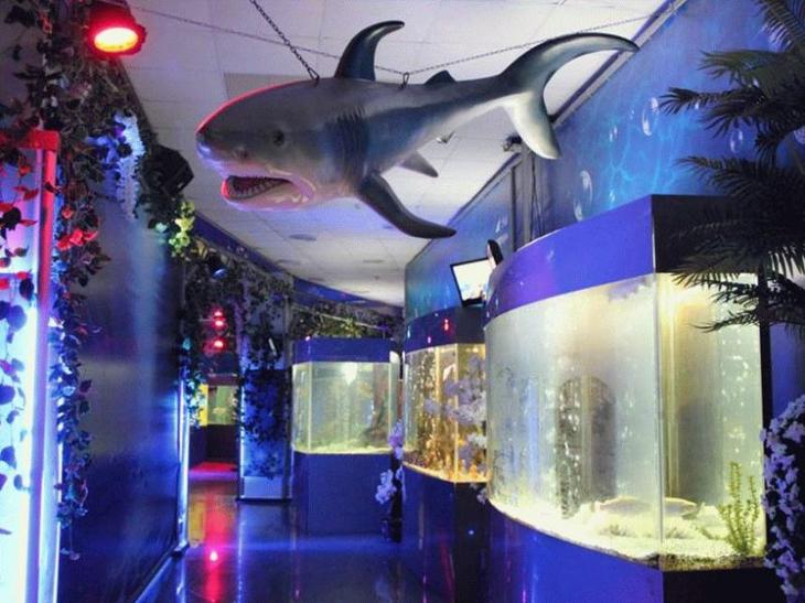 Самые интересные места для отдыха с детьми в Анапе