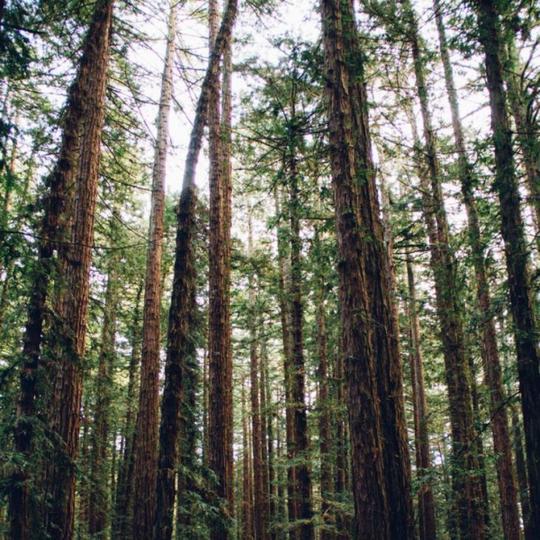 10 мест планеты, которые хотя бы раз обязан увидеть каждый