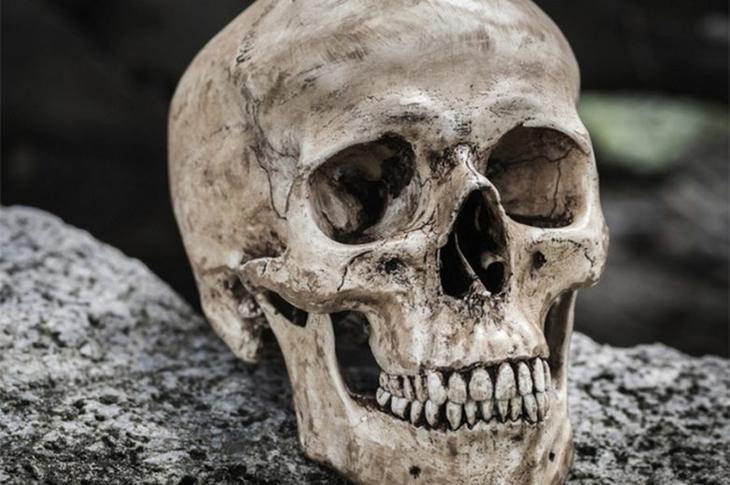 10 секретов живой природы, которые пока ставят учёных в тупик