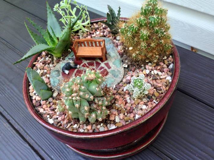 20 композиций из суккулентов, которые можно сделать своими руками