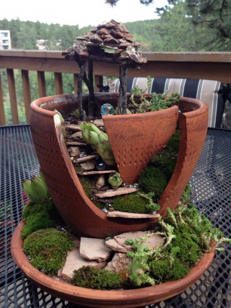 20 композиций из суккулентов, которые можно сделать своими руками