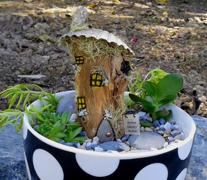 20 композиций из суккулентов, которые можно сделать своими руками