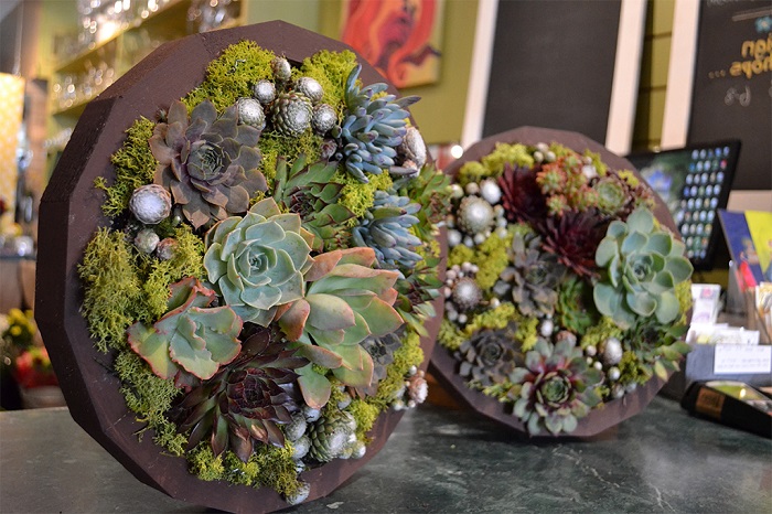 20 композиций из суккулентов, которые можно сделать своими руками
