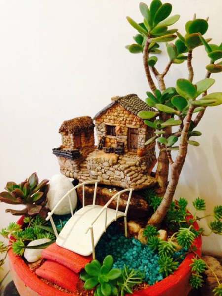 20 композиций из суккулентов, которые можно сделать своими руками
