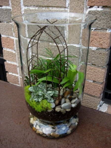 20 композиций из суккулентов, которые можно сделать своими руками