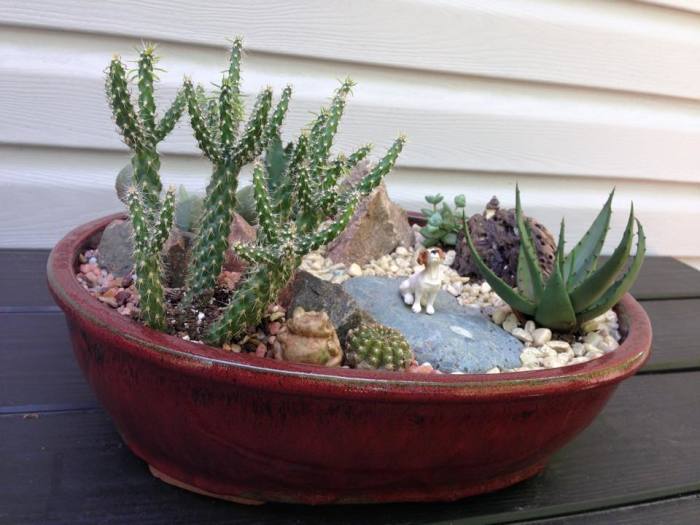 20 композиций из суккулентов, которые можно сделать своими руками