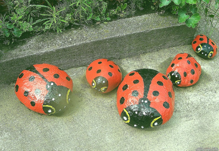 20 наглядных доказательств, почему не нужно выбрасывать камни со своего участка