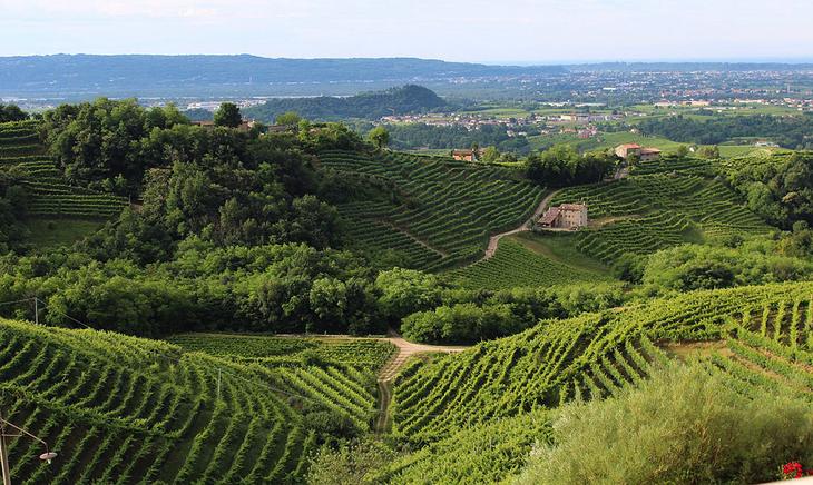 7 идей путешествий для любителей вина