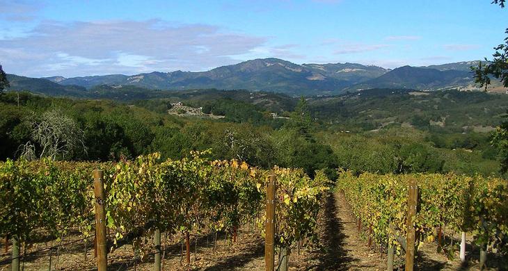 7 идей путешествий для любителей вина