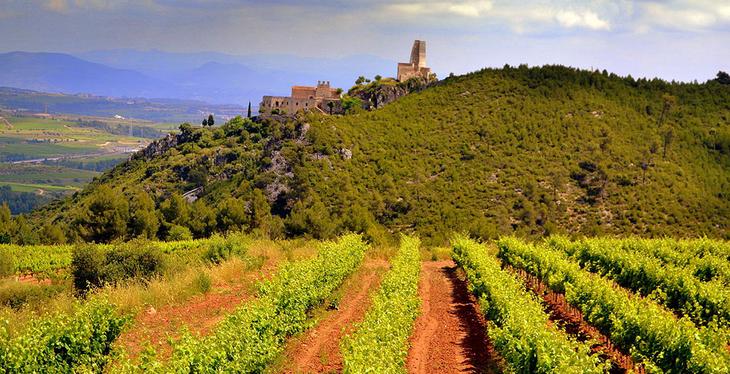 7 идей путешествий для любителей вина