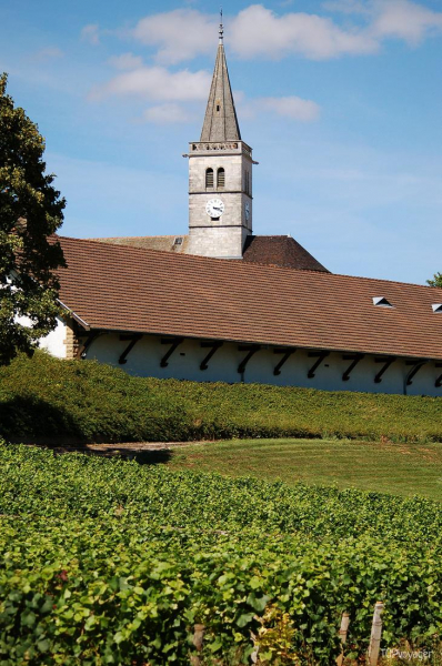 7 идей путешествий для любителей вина