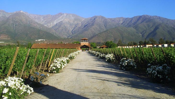 7 идей путешествий для любителей вина