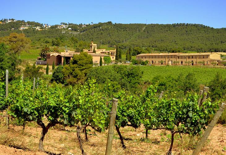 7 идей путешествий для любителей вина