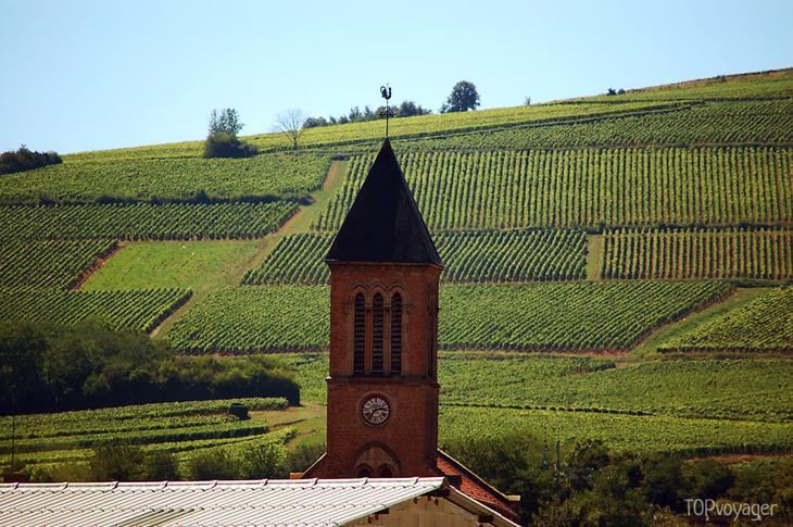 7 идей путешествий для любителей вина