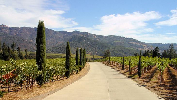 7 идей путешествий для любителей вина