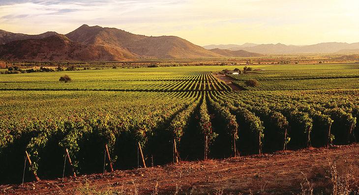 7 идей путешествий для любителей вина