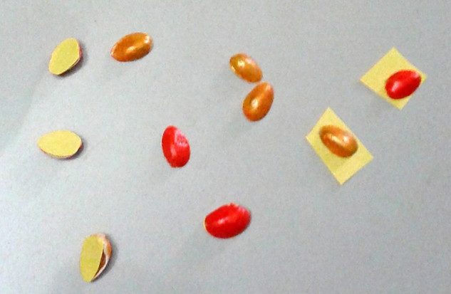 Декор из скорлупы от фисташек