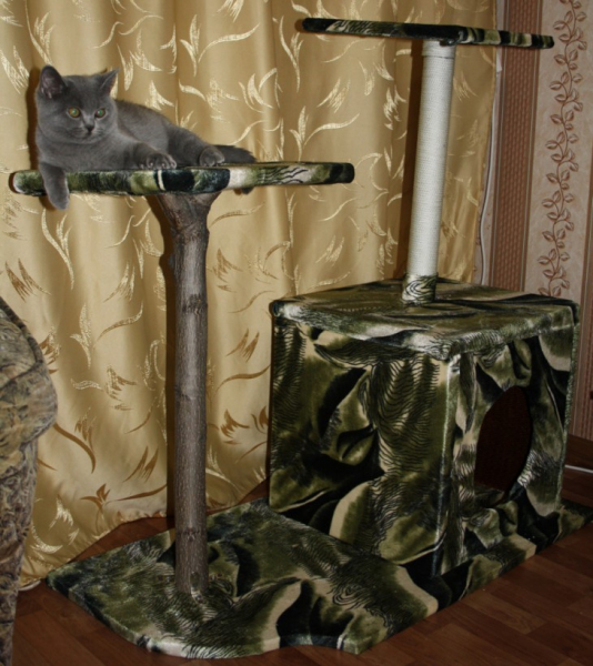 Делаем домик для кошки своими руками: простые решения и подбор материалов