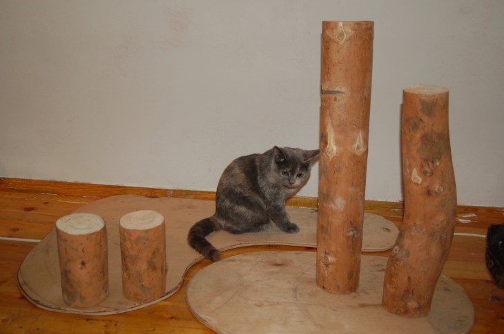 Делаем домик для кошки своими руками: простые решения и подбор материалов