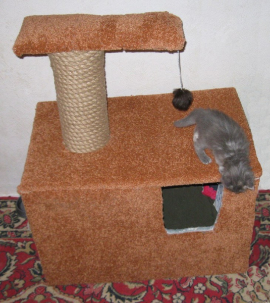 Делаем домик для кошки своими руками: простые решения и подбор материалов