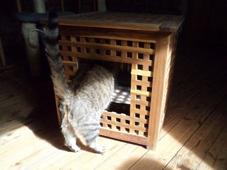 Делаем домик для кошки своими руками: простые решения и подбор материалов