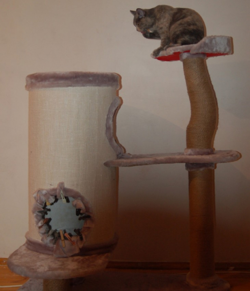 Делаем домик для кошки своими руками: простые решения и подбор материалов