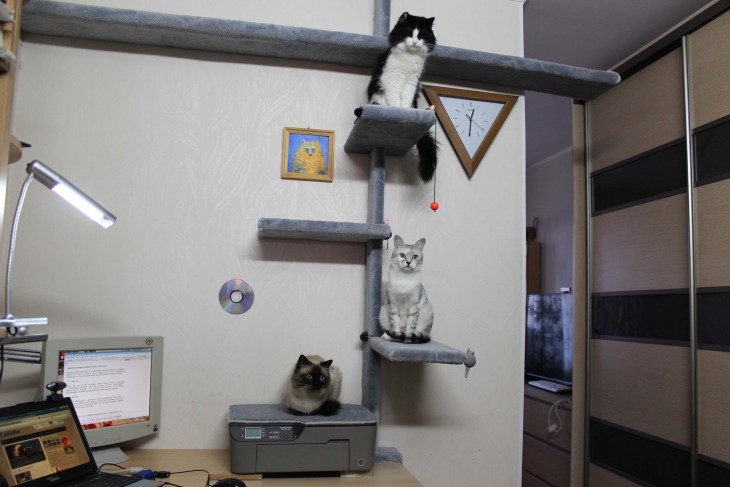 Делаем домик для кошки своими руками: простые решения и подбор материалов