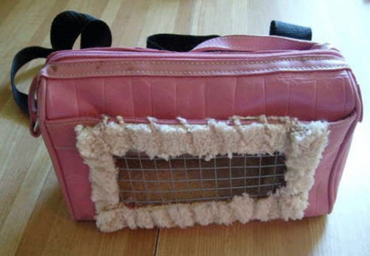 Делаем домик для кошки своими руками: простые решения и подбор материалов