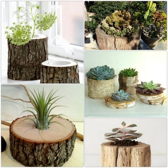 Дерево в интерьере