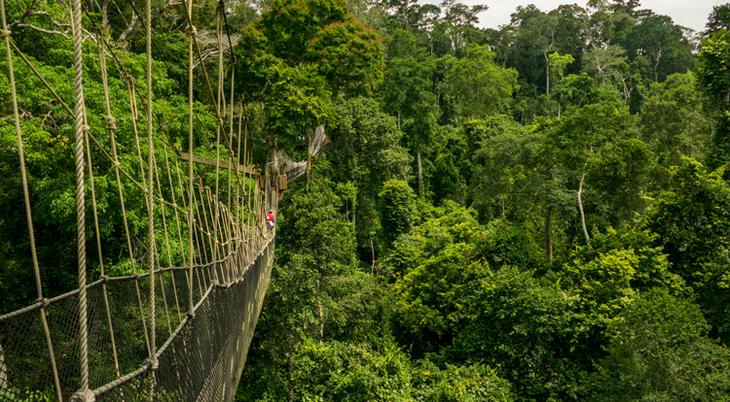 Достопримечательности Ганы: список, фото и описание