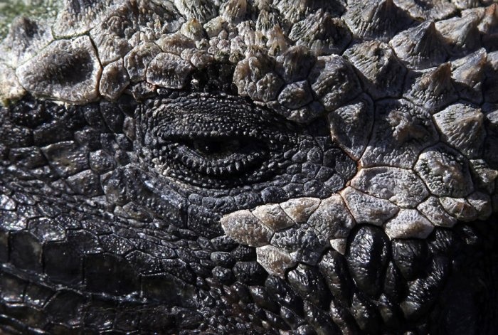 Галапагосы: уникальный уголок нетронутой природы на планете Земля