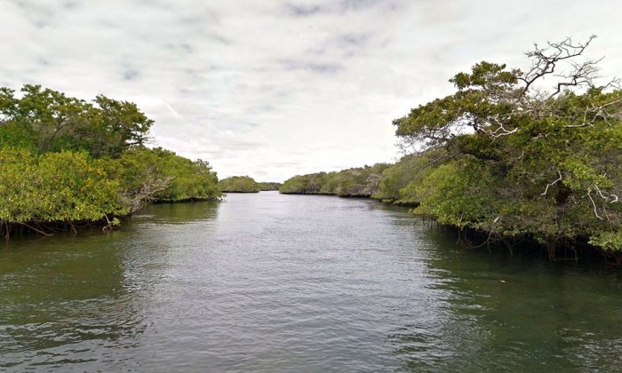 Галапагосы: уникальный уголок нетронутой природы на планете Земля