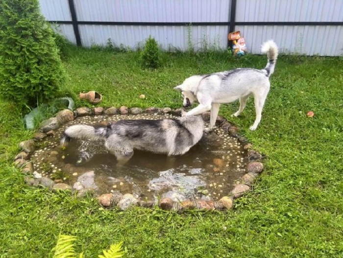 Как из старых покрышек сделать дачу с видом на озеро или пруд