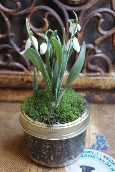 Как можно задействовать банки в хозяйстве