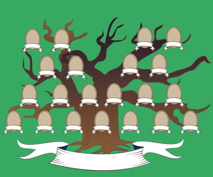 Как нарисовать семейное дерево своими руками - инструкция