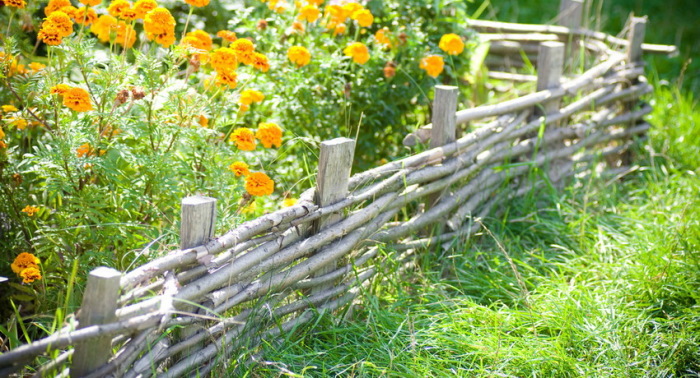 Как просто и со вкусом облагородить дачный двор: 8 креативных идей на зависть соседям