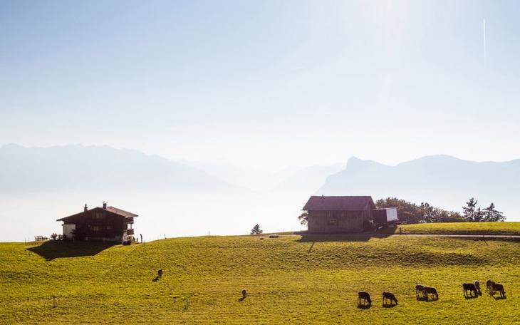 Мал, да удал: очаровательный Лихтенштейн - страна, в которой нет армии, но есть красота