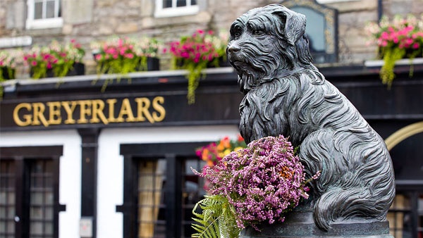 Памятники братьям нашим меньшим