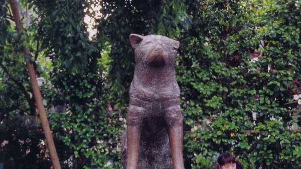 Памятники братьям нашим меньшим