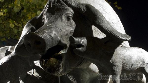 Памятники братьям нашим меньшим