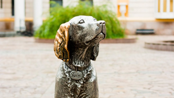 Памятники братьям нашим меньшим