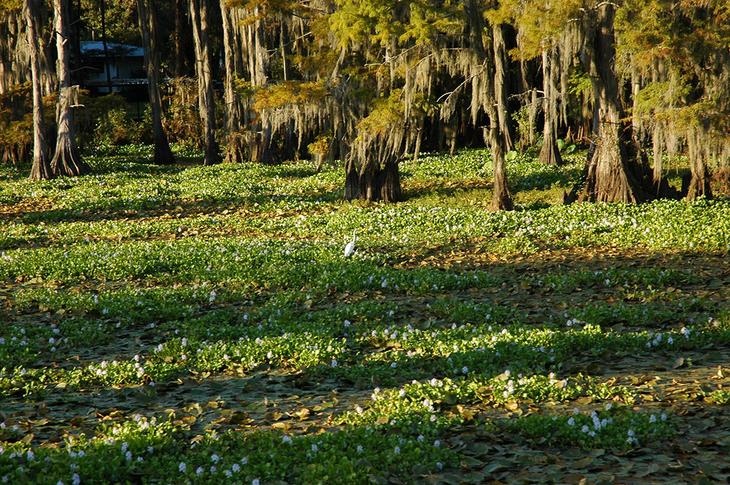 Самые красивые озера Америки: 10 мест, которые достойны вашего внимания