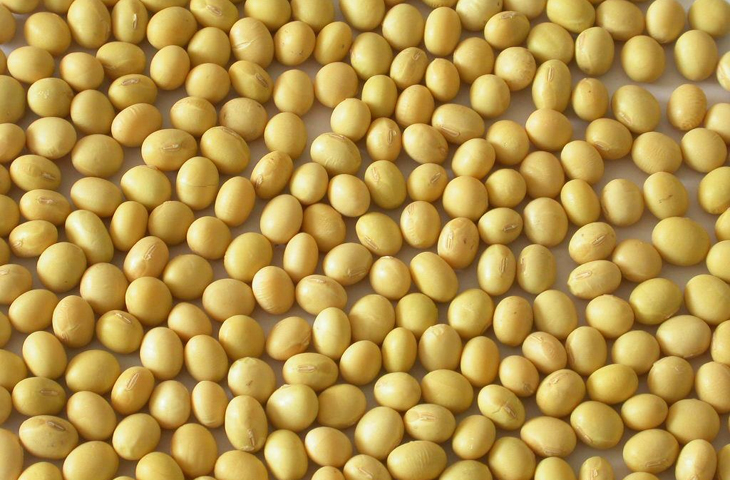 То, чего не напишут на этикетках: что нужно знать о 10 «вредных» пищевых добавках