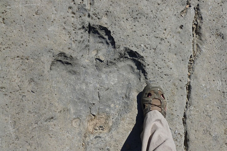 Туркменистан-страна с большим туристическим потенциалом