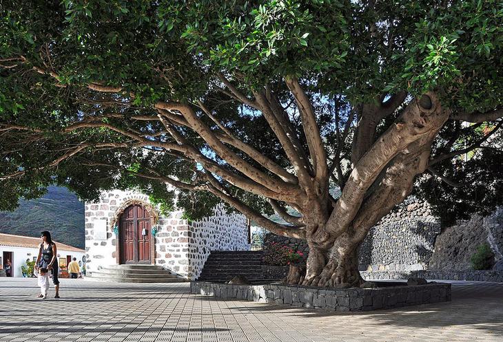 Ущелье Маска: затерянный мир острова Тенерифе