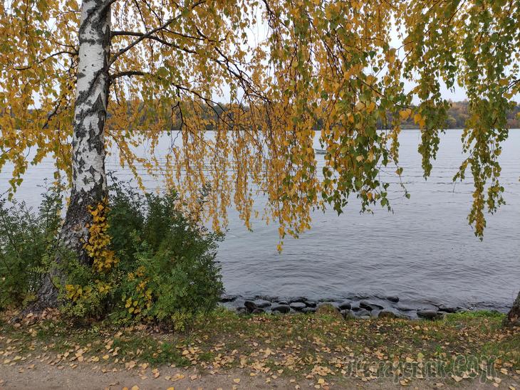 Золотой Плёс. Часть 1