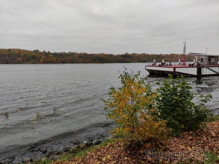 Золотой Плёс. Часть 1