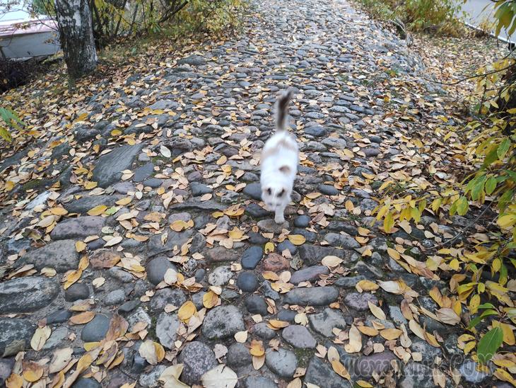 Золотой Плёс. Часть 2